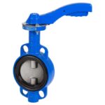 Genebre 2109 DN80 PN16